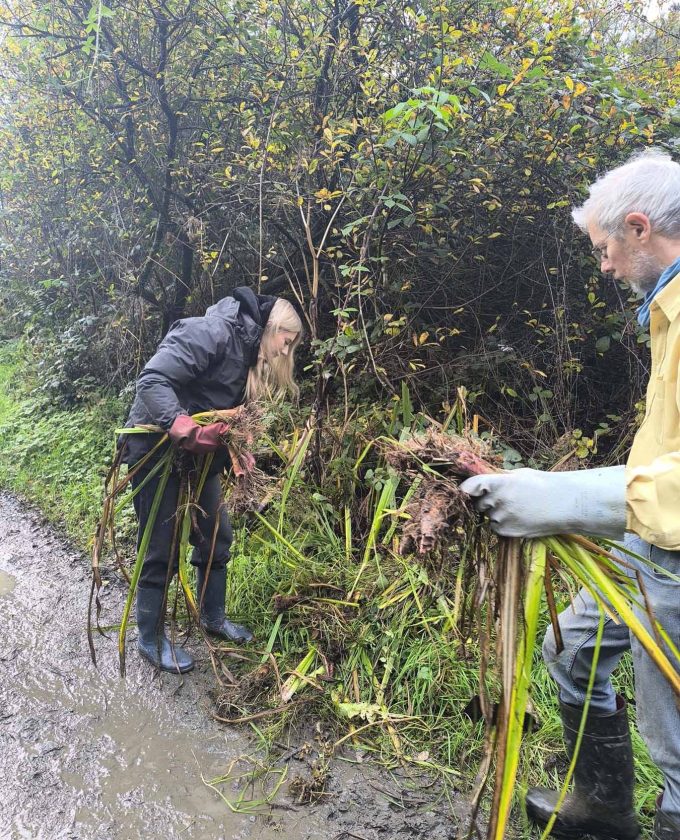 maevecollins-sruth22