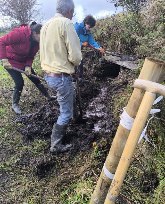 maevecollins-sruth24