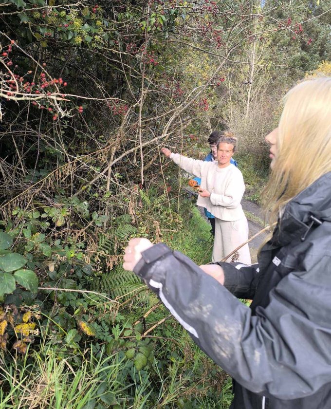 maevecollins-sruth26