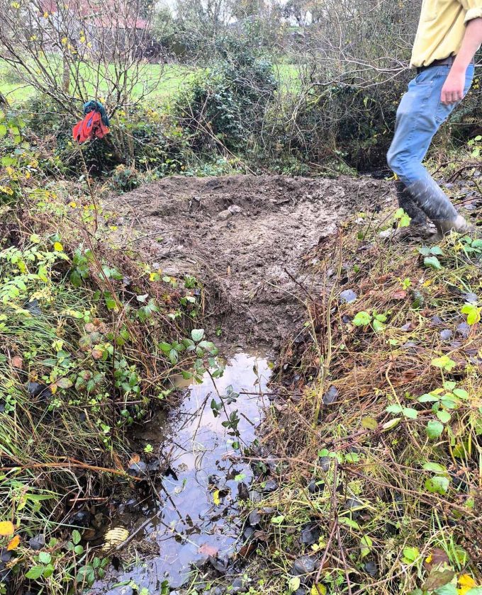 maevecollins-sruth28