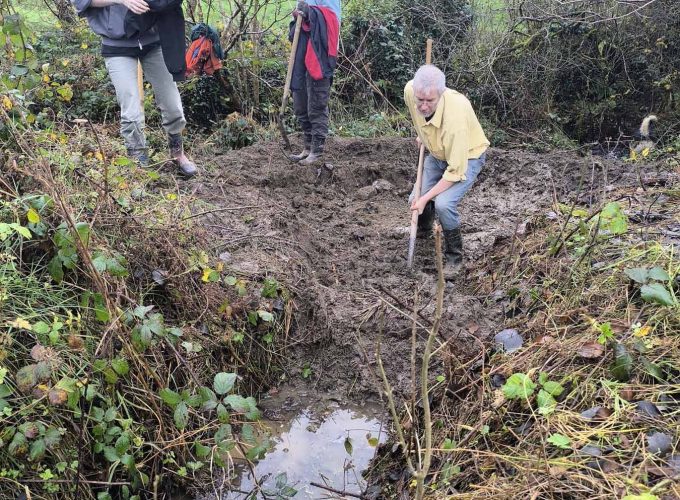 maevecollins-sruth29