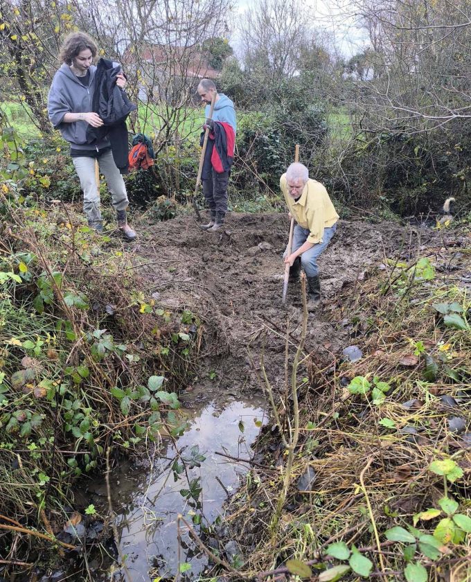 maevecollins-sruth29