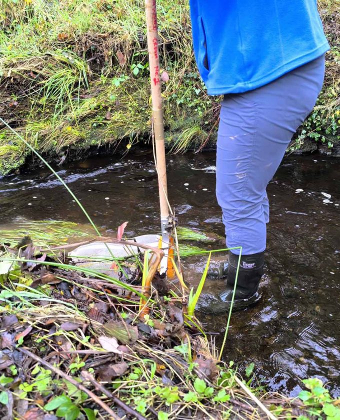 maevecollins-sruth30