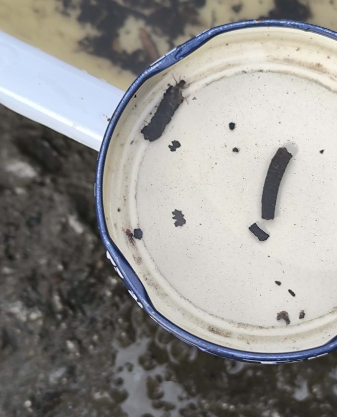 maevecollins-sruth31