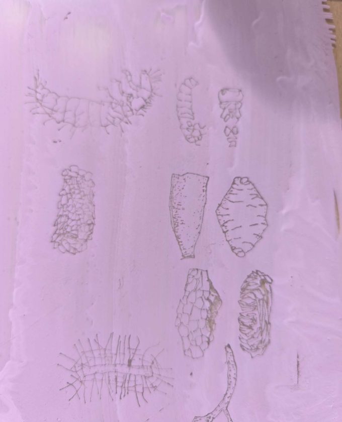 maevecollins-sruth32