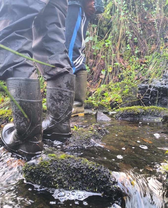 maevecollins-sruth40