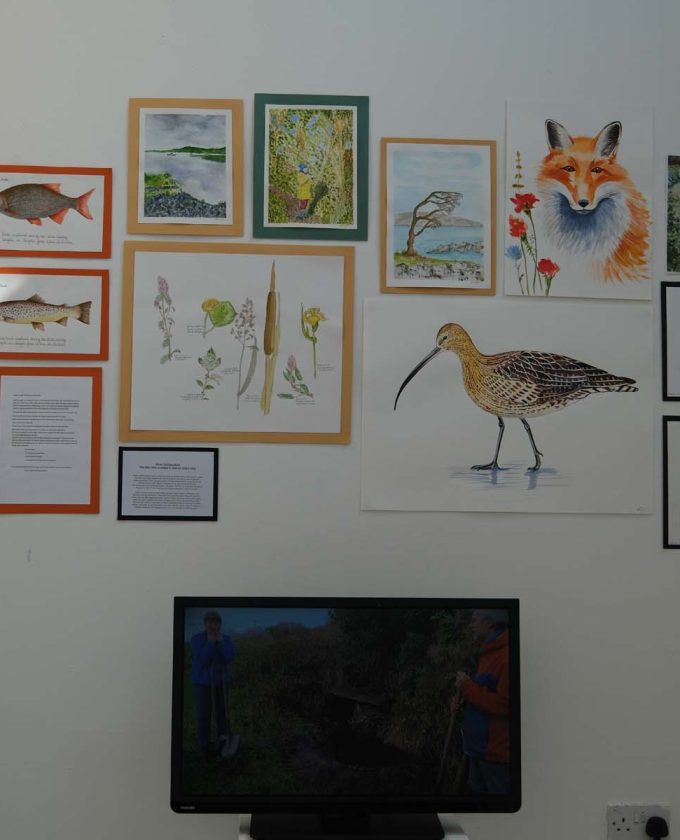 maevecollins-sruth43