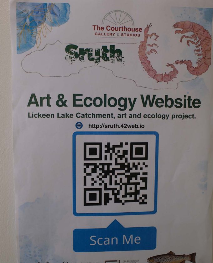 maevecollins-sruth44