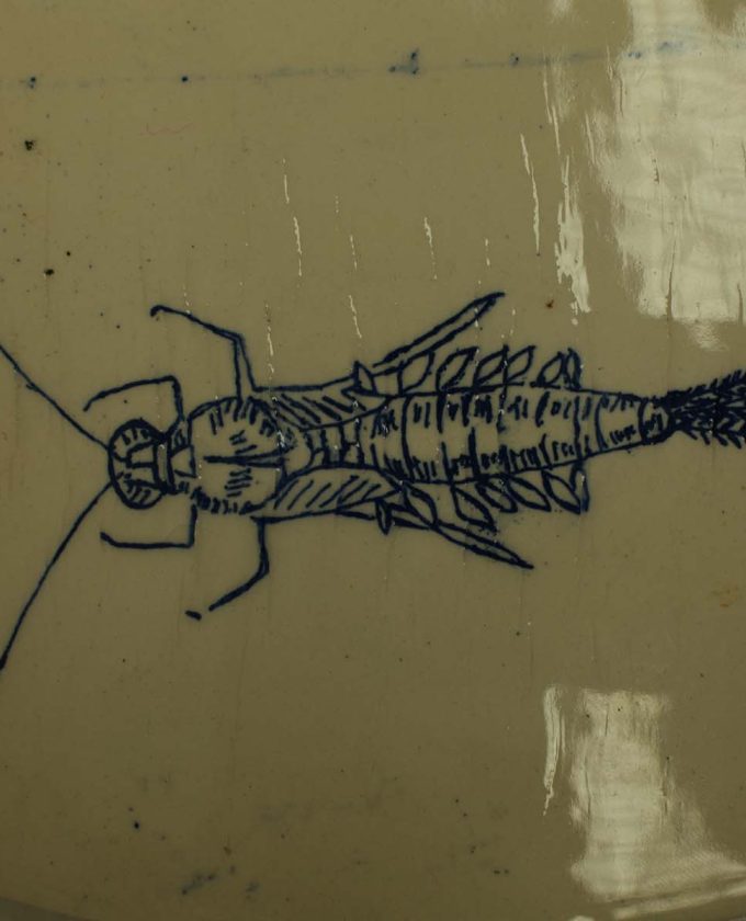 maevecollins-sruth49