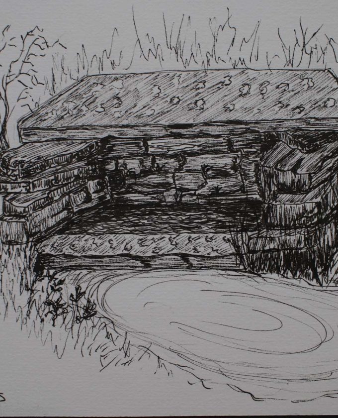 maevecollins-sruth53