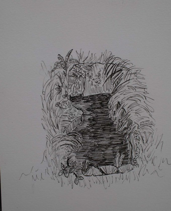 maevecollins-sruth54