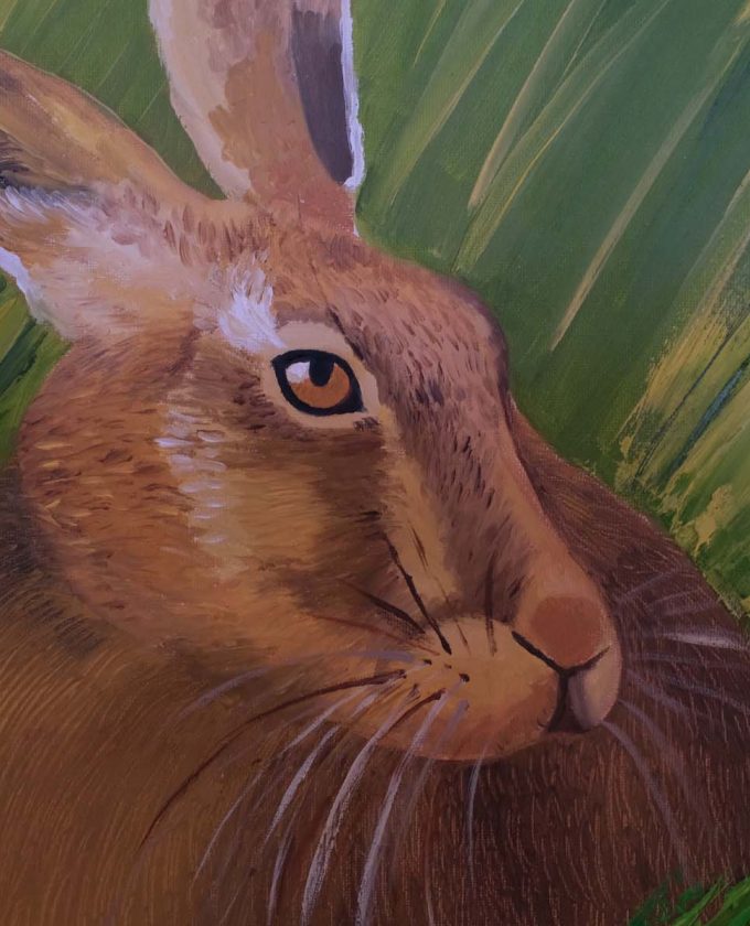 maevecollins-sruth59