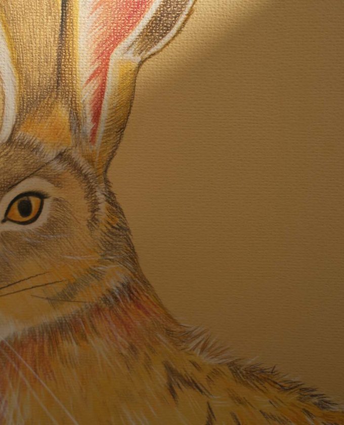 maevecollins-sruth60