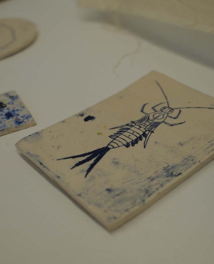 maevecollins-sruth65