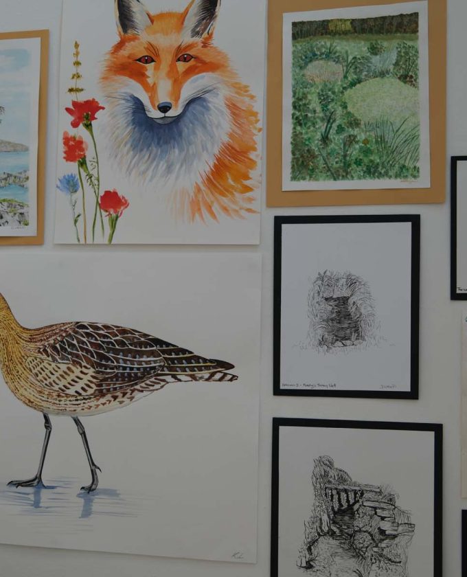 maevecollins-sruth67