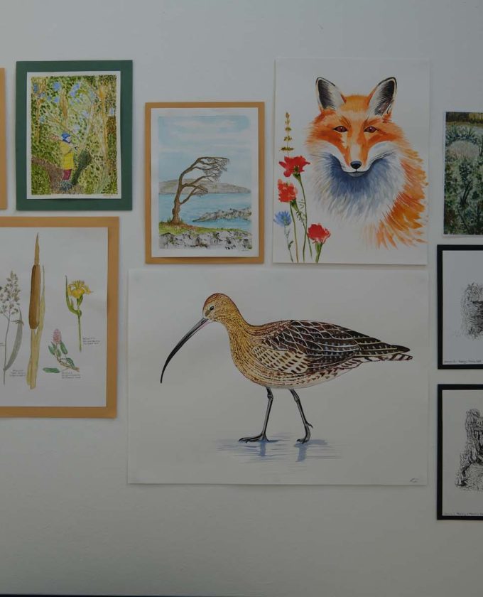 maevecollins-sruth71