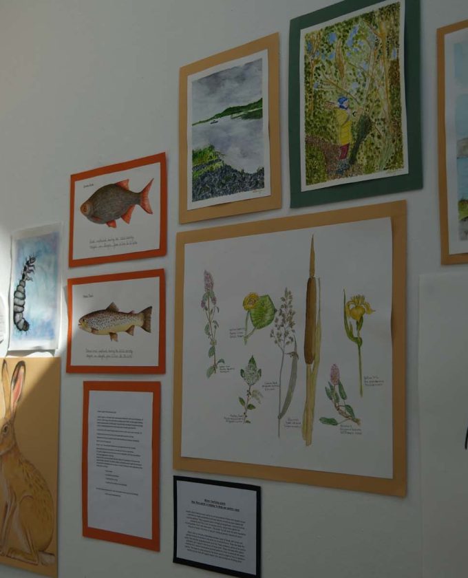 maevecollins-sruth72