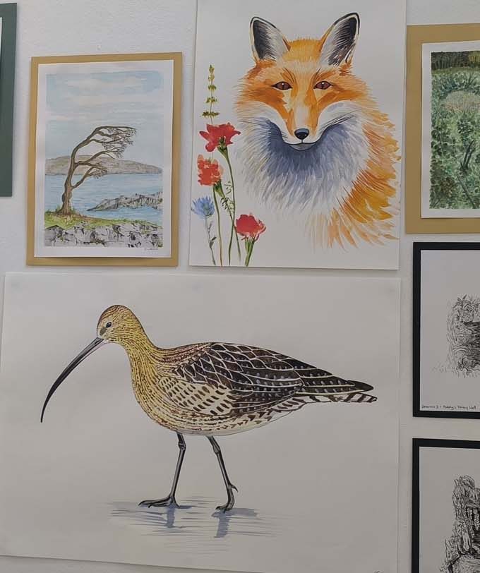 maevecollins-sruth75