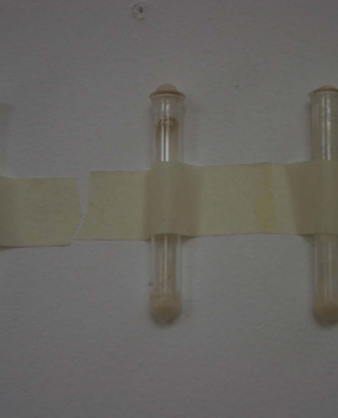 maevecollins-tariseteach12