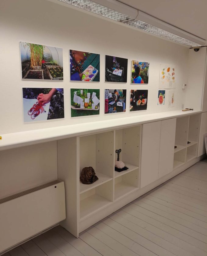 maevecollins-tariseteach6