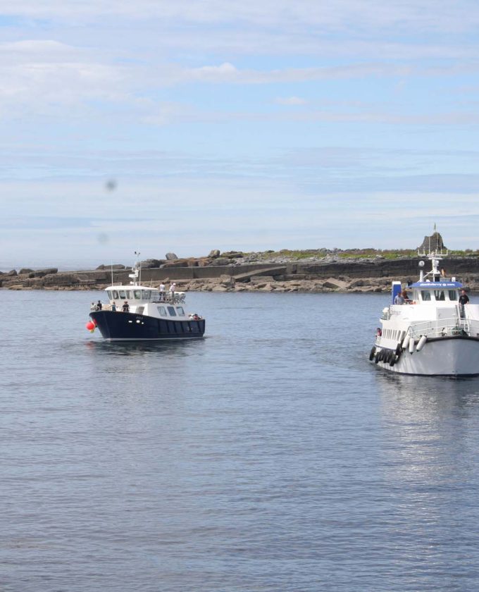 maevecollins-tuathadedanann7