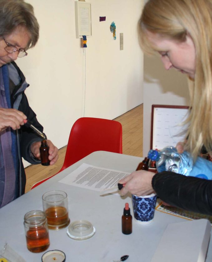 maevecollins-twospecies10