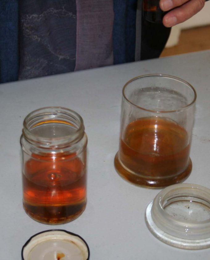 maevecollins-twospecies11