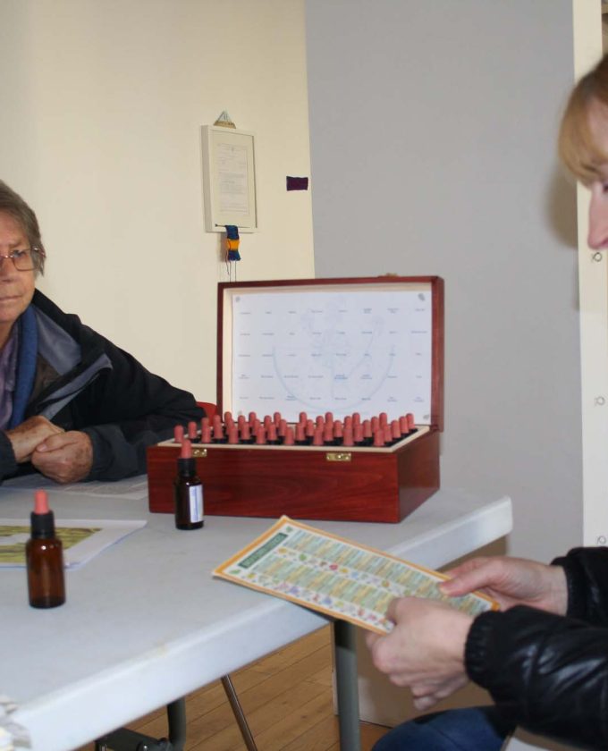 maevecollins-twospecies13