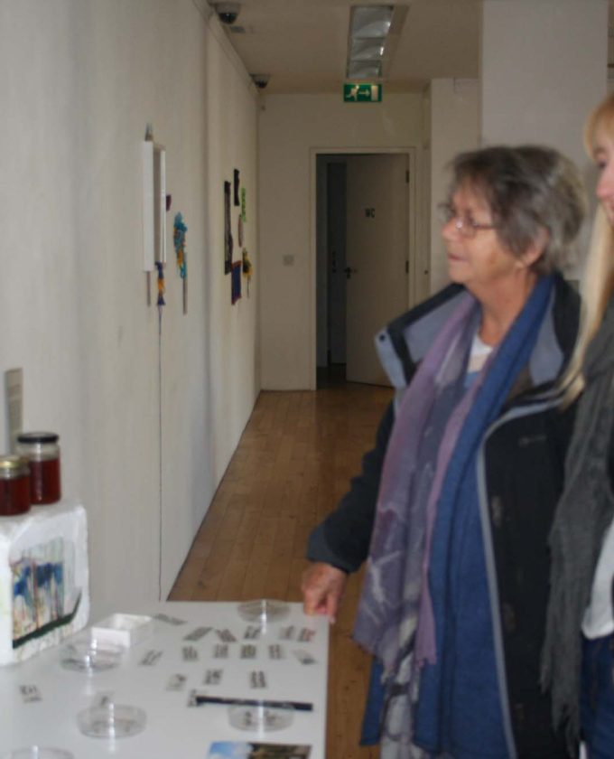 maevecollins-twospecies16