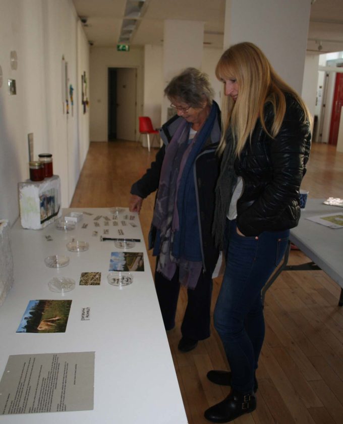 maevecollins-twospecies17