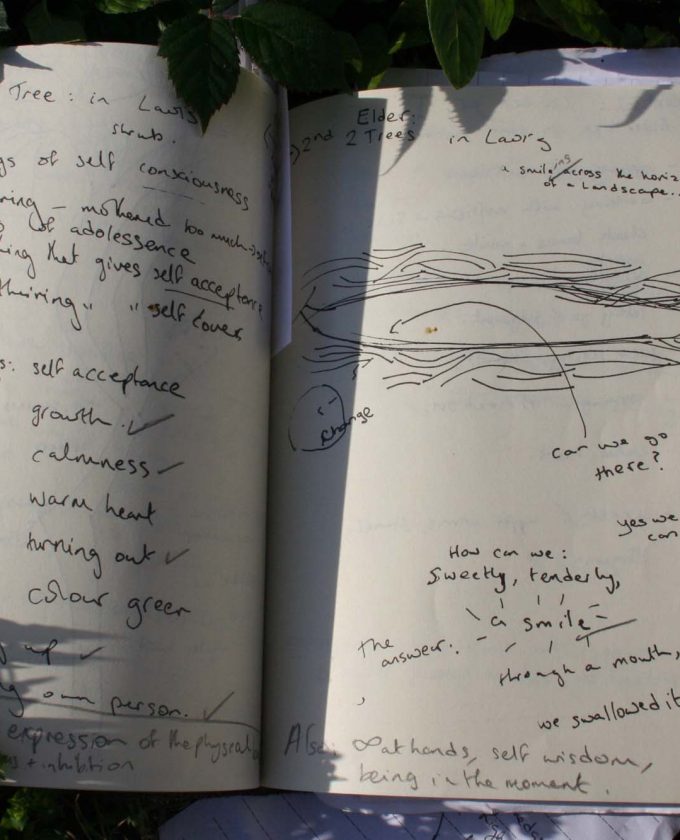 maevecollins-twospecies18