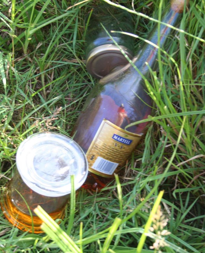 maevecollins-twospecies21