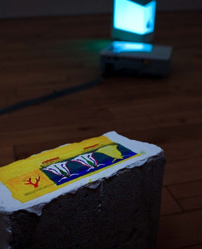 maevecollins-twospecies32