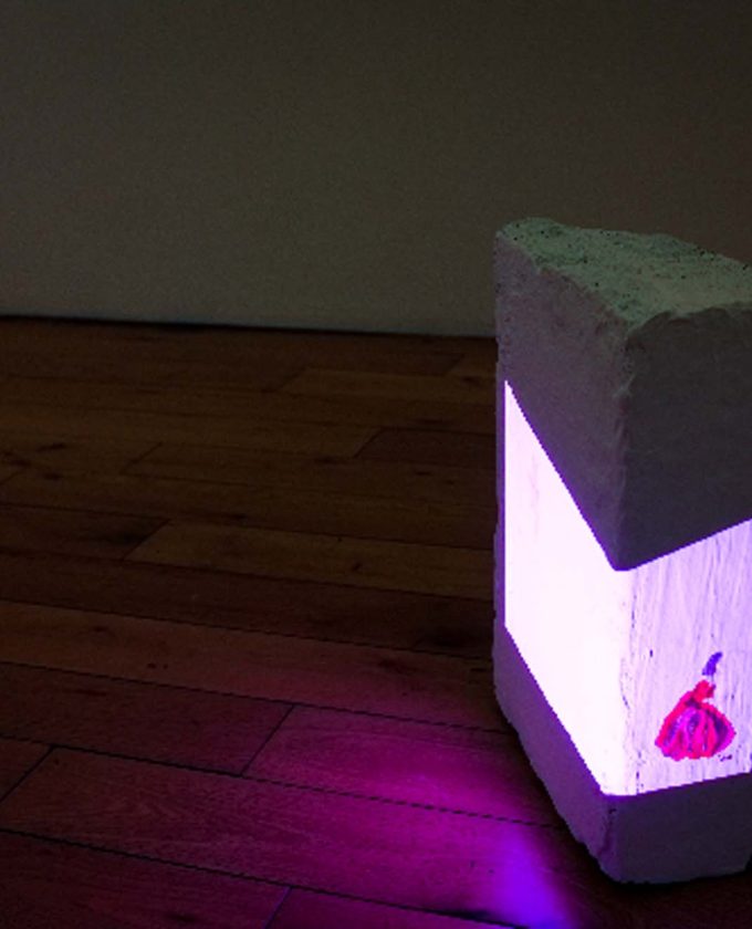 maevecollins-twospecies33