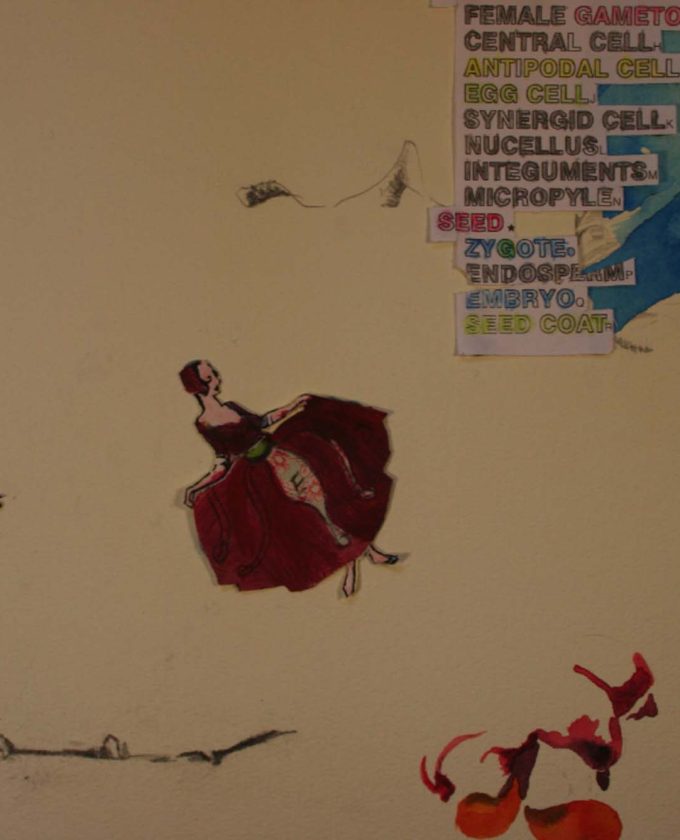 maevecollins-twospecies34