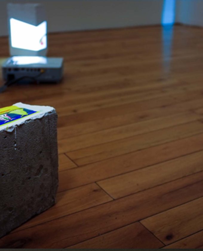 maevecollins-twospecies35