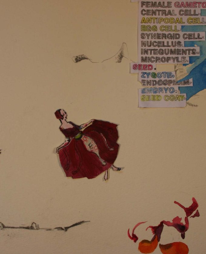 maevecollins-twospecies36