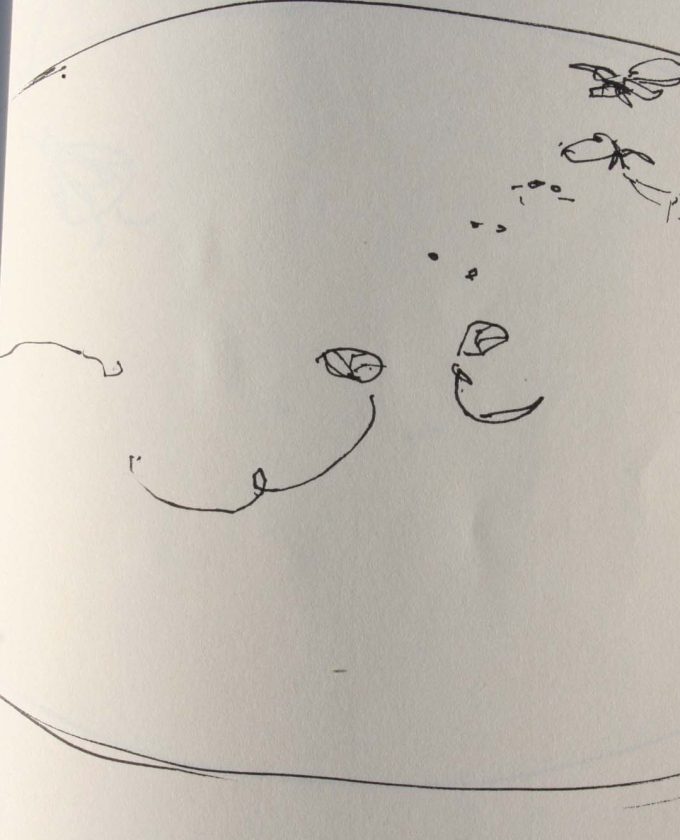 maevecollins-twospecies7