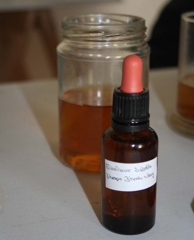 maevecollins-twospecies8