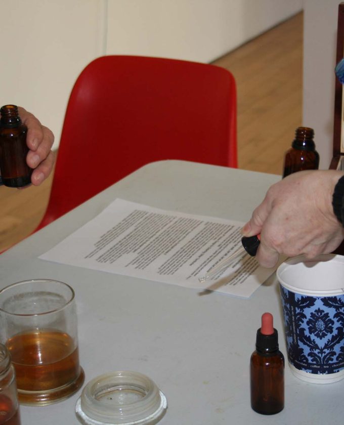 maevecollins-twospecies9